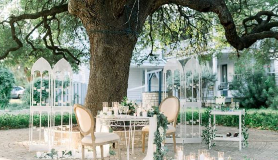 table-under-the-tree